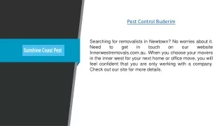 Pest Control Buderim | Sunshinecoastpest.com.au