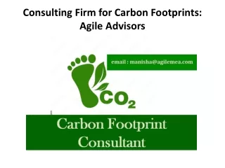 consulting firm for carbon footprints agile advisors