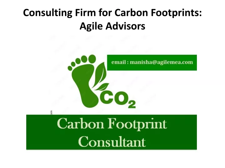 consulting firm for carbon footprints agile advisors