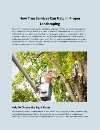 How Tree Services Can Help In Proper Landscaping