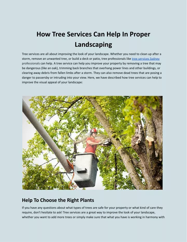 how tree services can help in proper landscaping