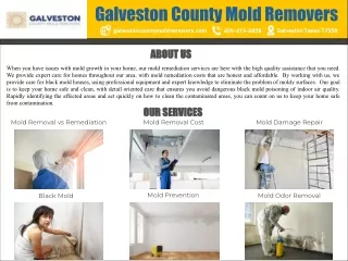 Galveston County Mold Removers | Galveston County Mold Removers, Galveston