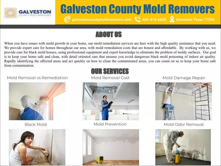 galveston county mold removers