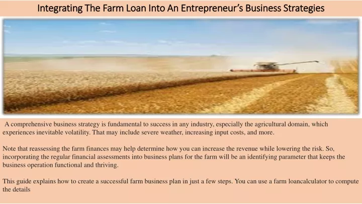 integrating the farm loan into an entrepreneur s business strategies