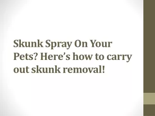 Skunk Spray On Your Pets? Here’s how to carry out skunk removal!