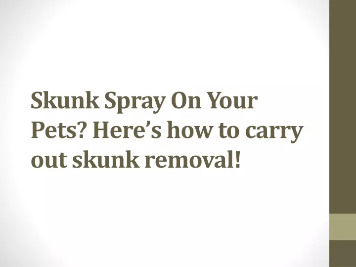 skunk spray on your pets here s how to carry out skunk removal
