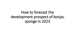 How to forecast the development prospect of konjac sponge in 2023