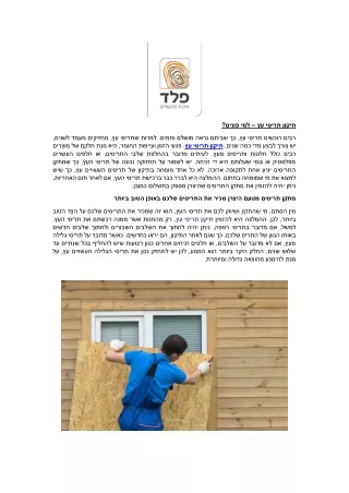 תיקון תריסי עץ – למי פונים