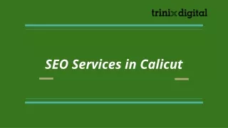 seo services in calicut