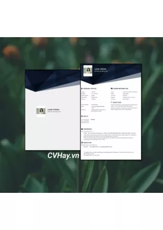 CVHay_Kỹ thuật viên phòng Lab