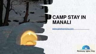 Camp Stay in Manali