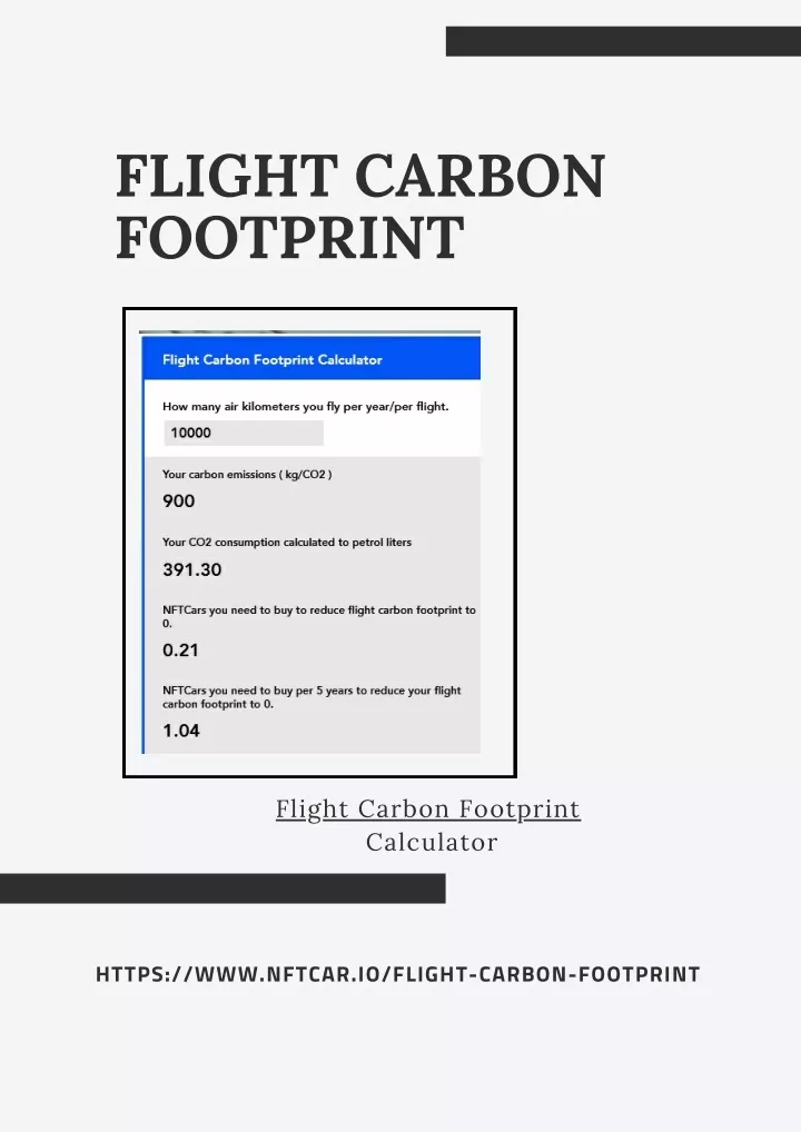 flight carbon footprint