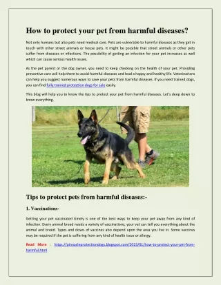 how to protect your pet from harmful diseases