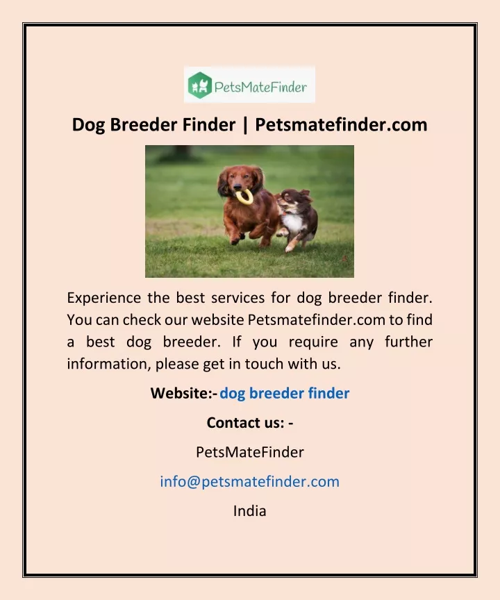 dog breeder finder petsmatefinder com