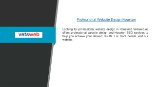 Professional Website Design Houston | Vetsweb.us