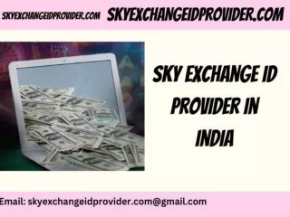 Sky Exchange Id Provider