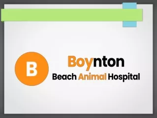 Palm Beach Animal Hospitals: Find the Right One for Your Needs