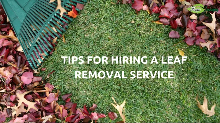 tips for hiring a leaf removal service