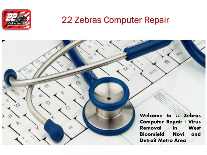 22 zebras computer repair