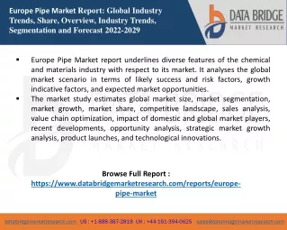Europe Pipe Market report