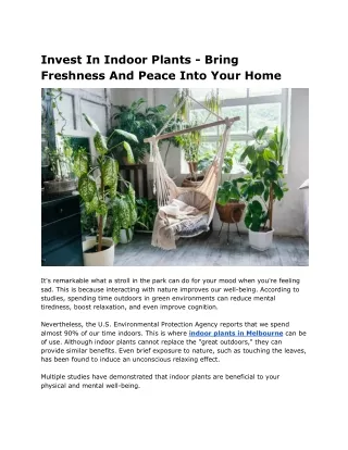 Invest In Indoor Plants - Bring Freshness And Peace Into Your Home