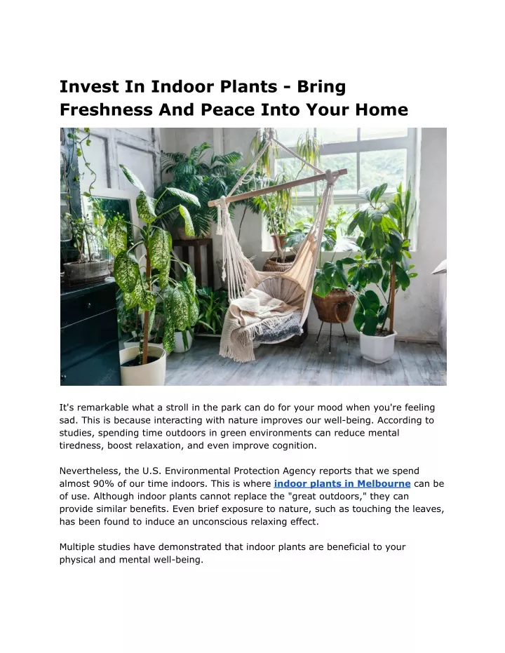 invest in indoor plants bring freshness and peace
