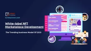 White-label NFT Marketplace Development- The Trending business Model Of 2023