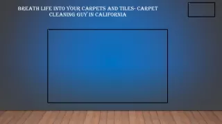 carpet Cleaning Guy