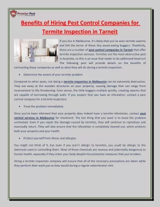 Benefits of Hiring Pest Control Companies for Termite Inspection in Tarneit