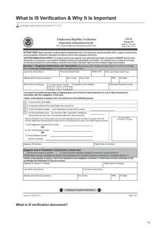 what is i9 verification why it is important