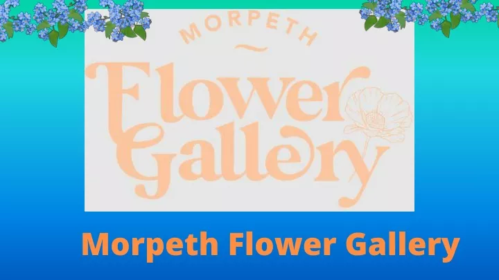 morpeth flower gallery