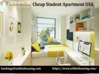Cheap Student Apartment USA
