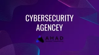 cybersecurity agencey