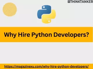 Why Hire Python Developers?