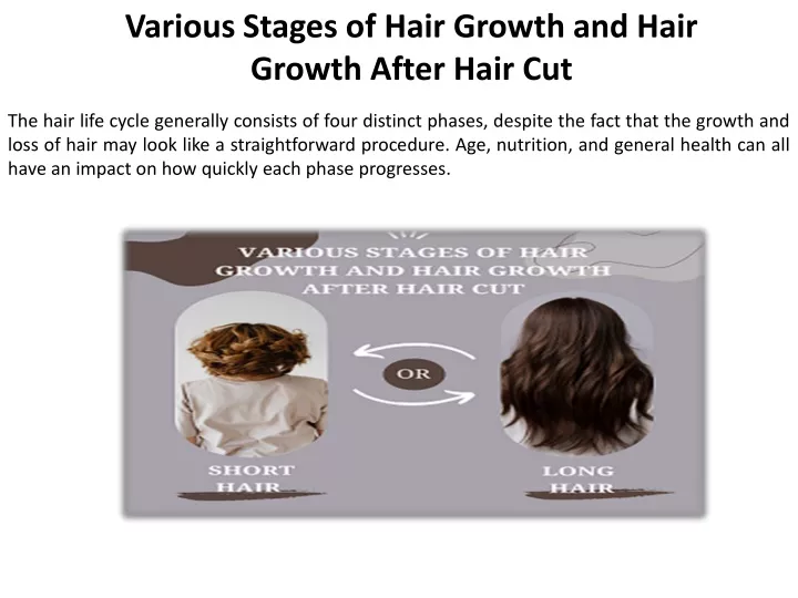 various stages of hair growth and hair growth
