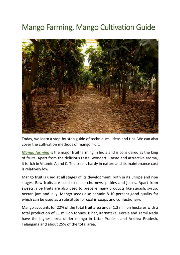 mango farming mango cultivation guide mango