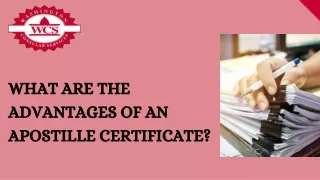 What are the Advantages of an Apostille Certificate