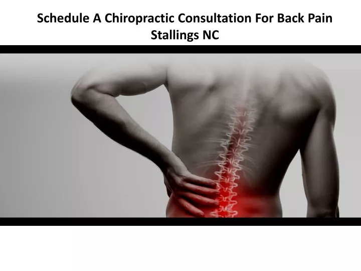 schedule a chiropractic consultation for back