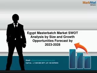 Egypt Masterbatch Market - MarkNtel Advisors