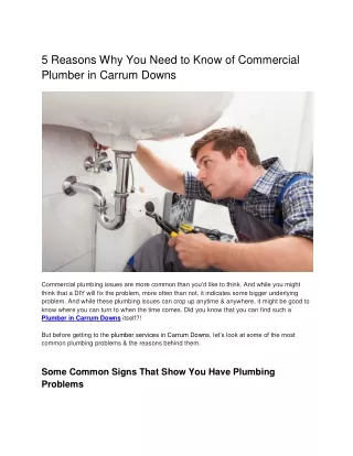 5 Reasons Why You Need to Know of Commercial Plumber in Carrum Downs