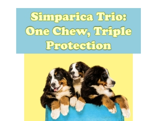 Simparica Trio: One Chew, Triple Protection