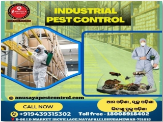 Top Pest Control Services In Bhubaneswar | Anusaya Pest Control