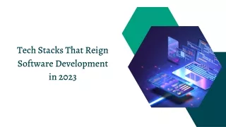 tech stacks that reign software development