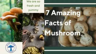 7 Amazing Facts of Mashrooms