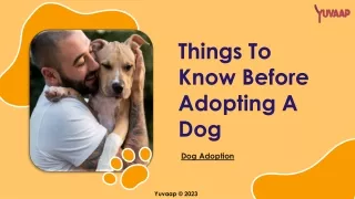 Dog Adoption