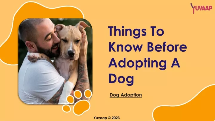 PPT - Dog Adoption PowerPoint Presentation, Free Download - ID:11873999