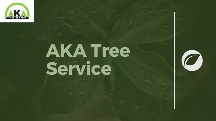 aka tree service