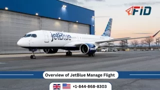 Overview of JetBlue Manage Flight