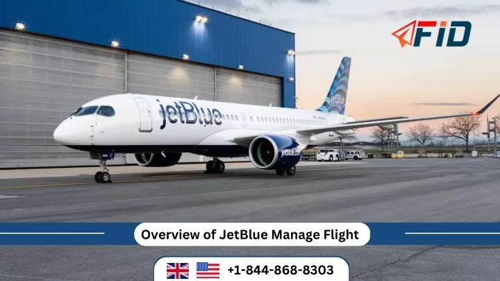 overview of jetblue manage flight