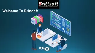 Quality Assurance Online Training USA At Brittsoft